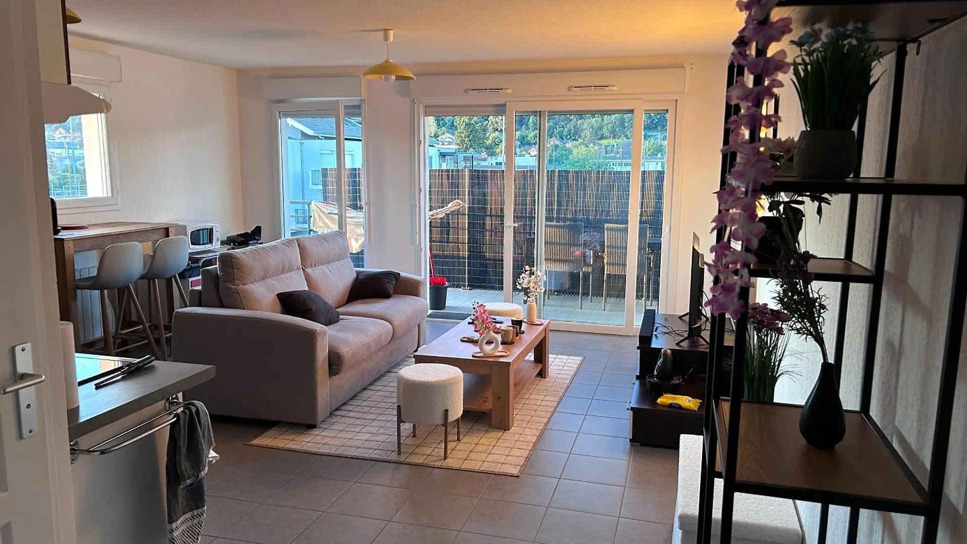 Appartement Residence Du Lac Leman Terasse-Wifi-Netflix-Parking Publier